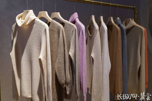 河北清河 織 上加 智 助推羊絨產(chǎn)業(yè)做大做強鳳凰網(wǎng)河北 鳳凰網(wǎng)