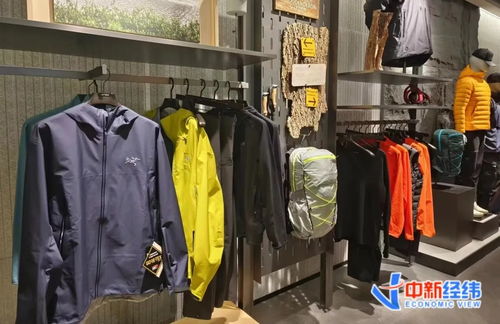 下單要等一個(gè)月 劉亦菲同款突然爆火